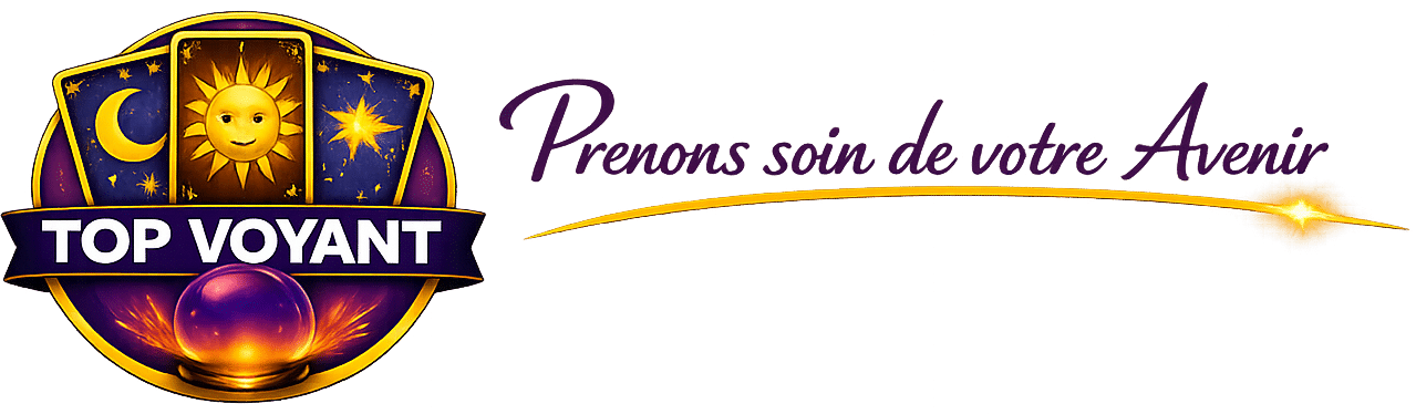 logo Top Voyant